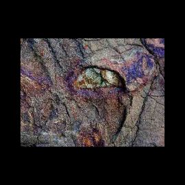 Outsider Nature Art Photography